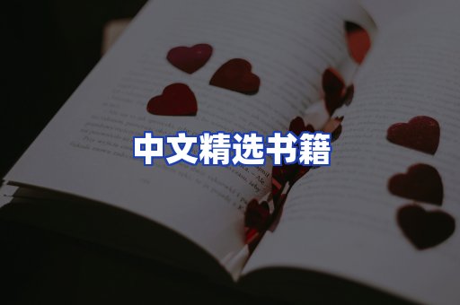 中文精选书籍